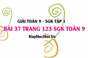 Giải bài 37 trang 123 SGK Toán 9 tập 1